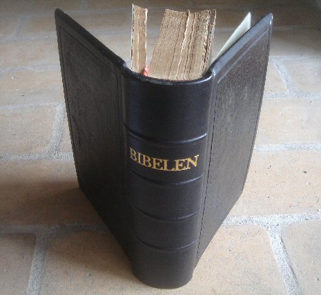 Marius Fiils Bibel