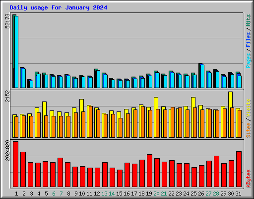 Daily usage for January 2024