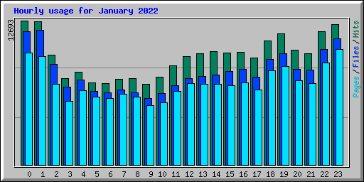 Hourly usage for January 2022