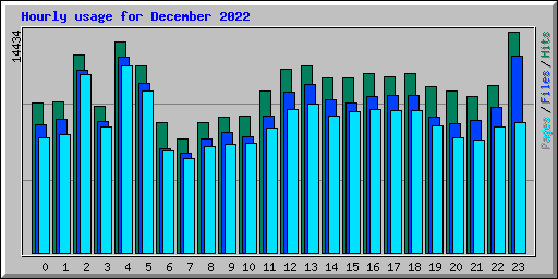 Hourly usage for December 2022