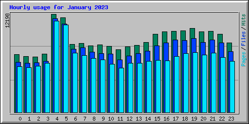 Hourly usage for January 2023