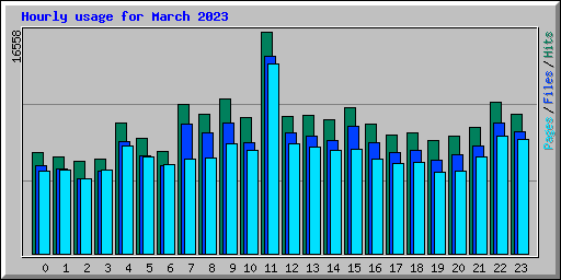 Hourly usage for March 2023