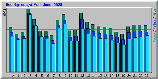 Hourly usage for June 2023