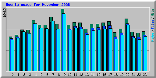 Hourly usage for November 2023
