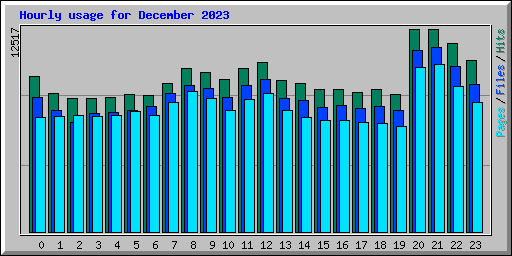 Hourly usage for December 2023