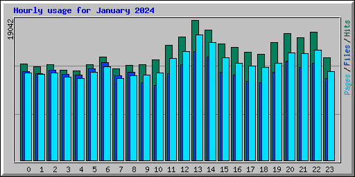 Hourly usage for January 2024