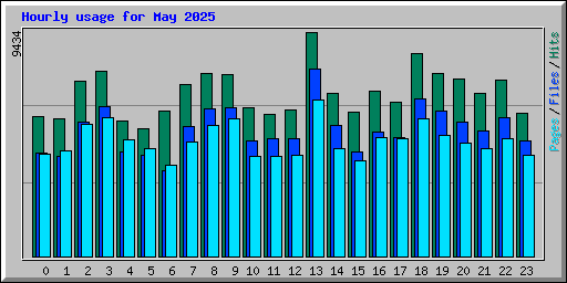 Hourly usage for May 2025