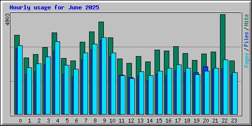 Hourly usage for June 2025