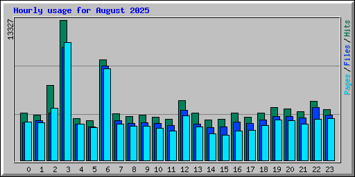 Hourly usage for August 2025