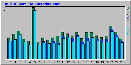 Hourly usage for September 2025