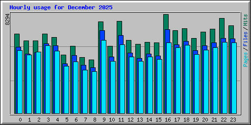 Hourly usage for December 2025