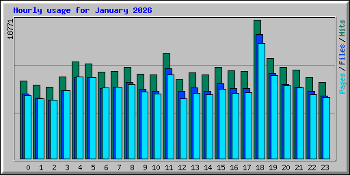 Hourly usage for January 2026