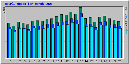 Hourly usage for March 2026