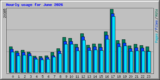 Hourly usage for June 2026