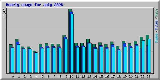 Hourly usage for July 2026